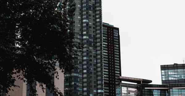 改写人生音乐分享相关内容2025