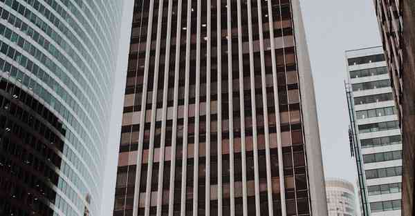 树洞现野生熊猫幼崽分享相关内容2025